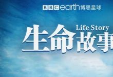 生命故事等多部纪录片资源 百度网盘下载
