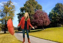 Do You Know等6部大语文小四门系列（三）儿童纪录片 百度网盘下载