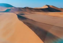 30部 小小世界等奇趣动植物系列纪录片资源 百度网盘下载