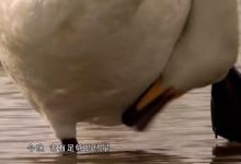 34部 美丽中国等中国人文地理系列纪录片 百度网盘下载