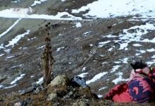 12部 奇趣动植物系列纪录片资源 百度网盘下载