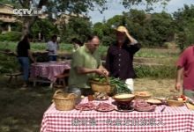 7部 中外人文历史系列纪录片资源 百度网盘下载