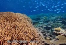 10部 BBC蓝色星球等大语文小四门系列（一）纪录片 百度网盘下载
